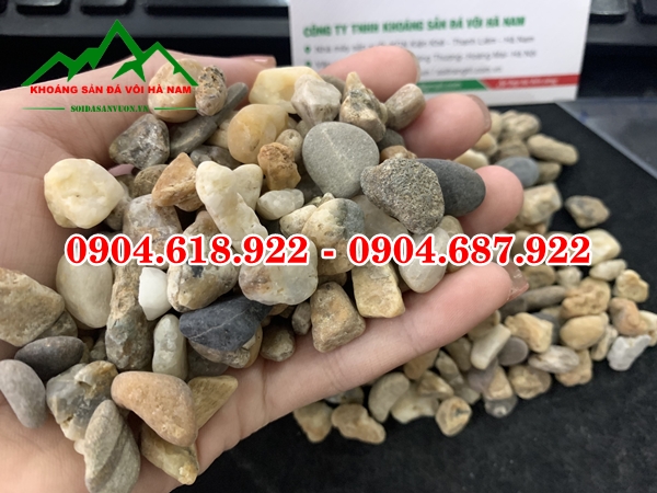 soi-suoi-tu-nhien-gia-re-tai-ha-noi (5)