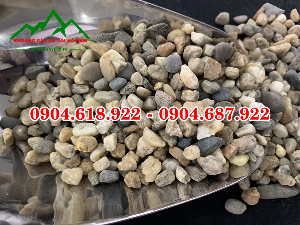 soi-suoi-tu-nhien-gia-re-tai-ha-noi (4)