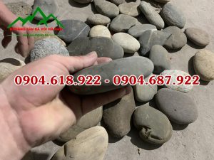 Soi-det-trang-tri (6)