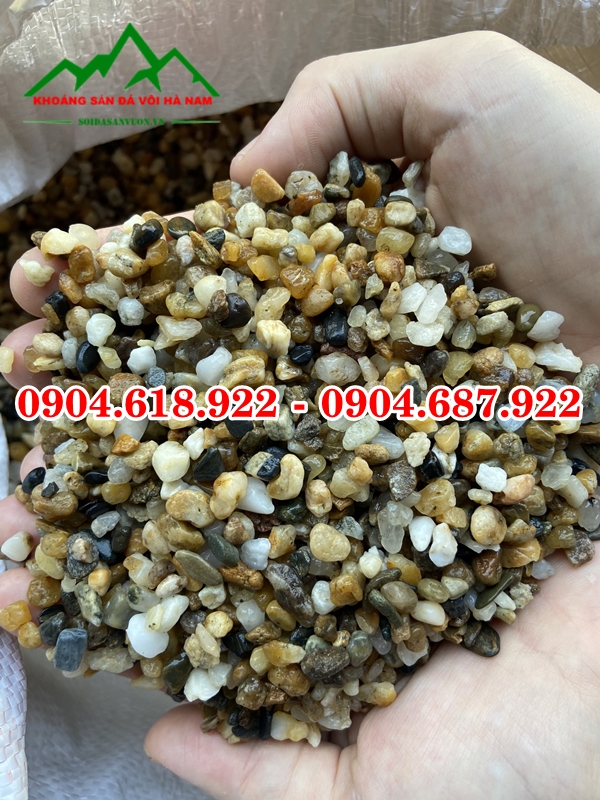 soi-suoi-tu-nhien-gia-re-tai-ha-noi (2)