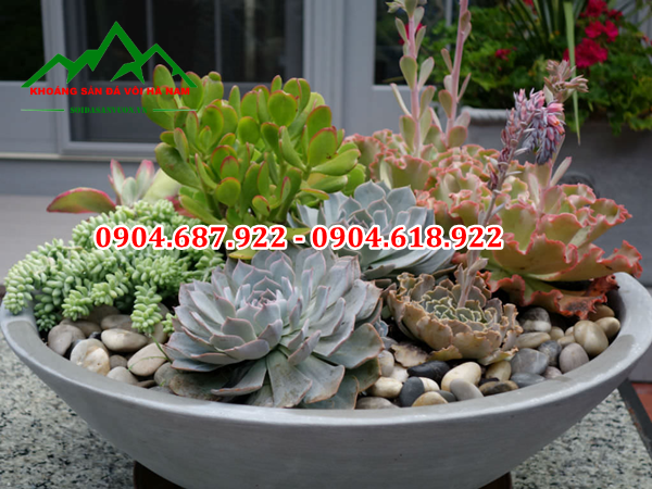 Sỏi trắng trang trí