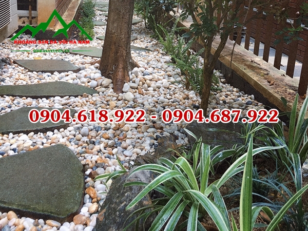 Soi-bien-tu-nhien (1)