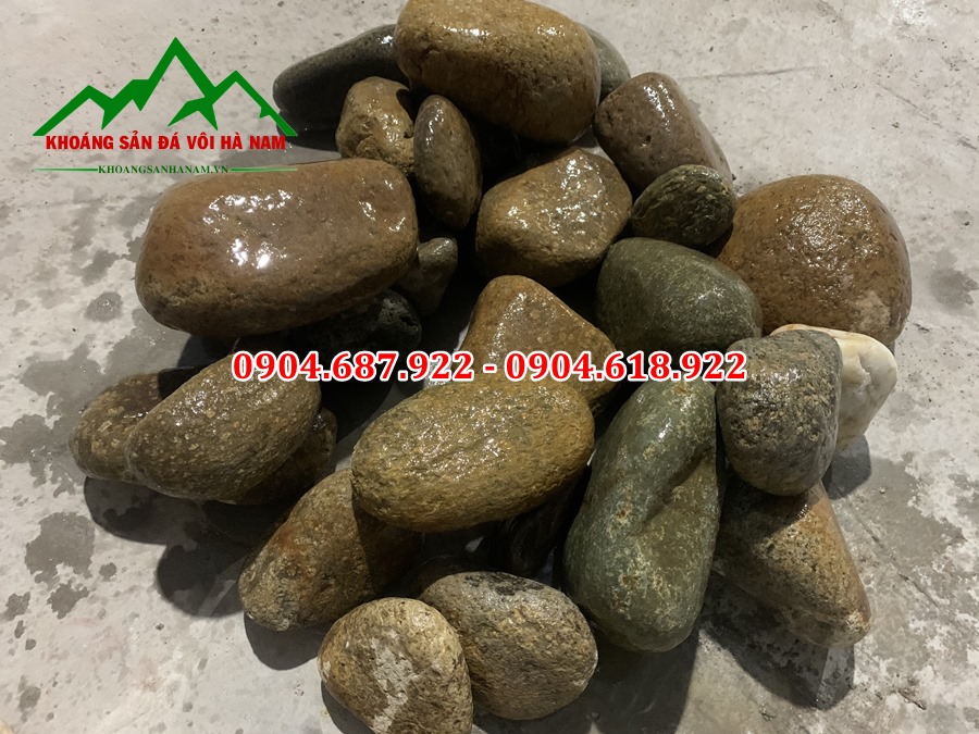 đá cuội vàng làm tiểu cảnh