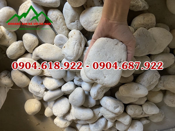 Soi-cuoi-tu-nhien (12)