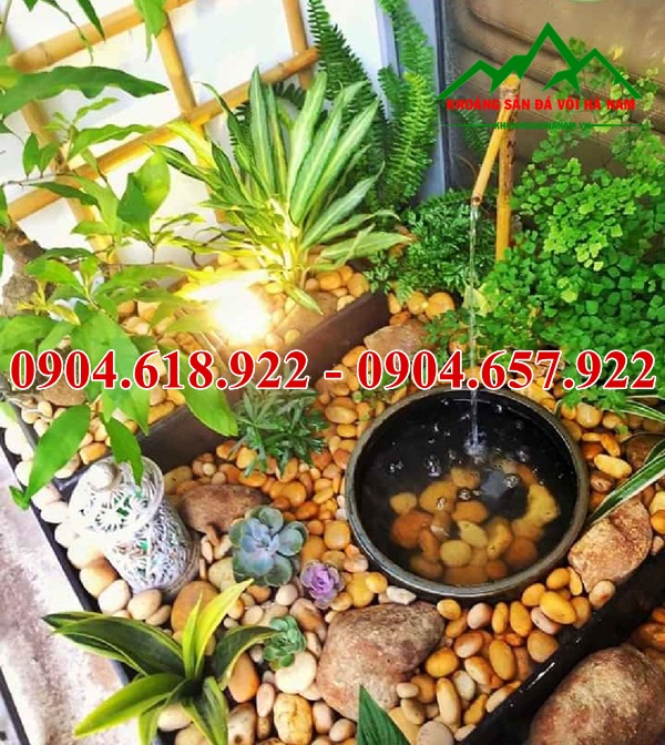 Soi-cuoi-tu-nhien (2)