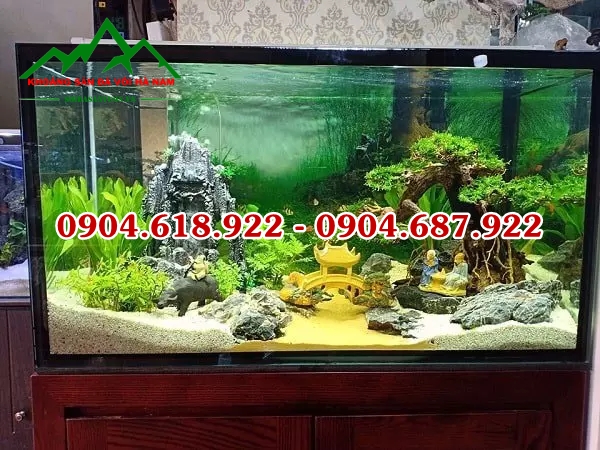 Soi-trang-tri-be-ca (22)