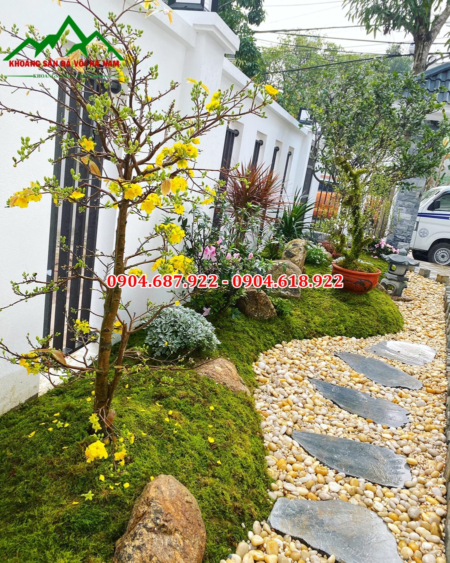 Top trang trí sân vườn 2022