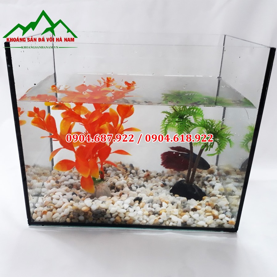 sỏi ba màu rải bể cá