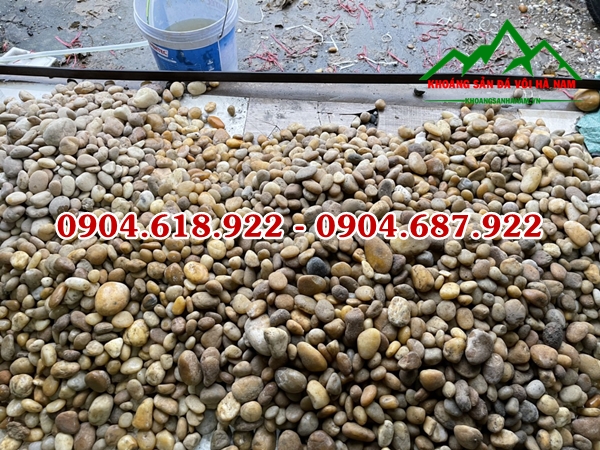 Soi-cuoi-tu-nhien (277)