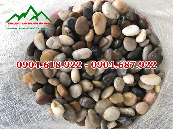 Gia-soi-tu-nhien (2)