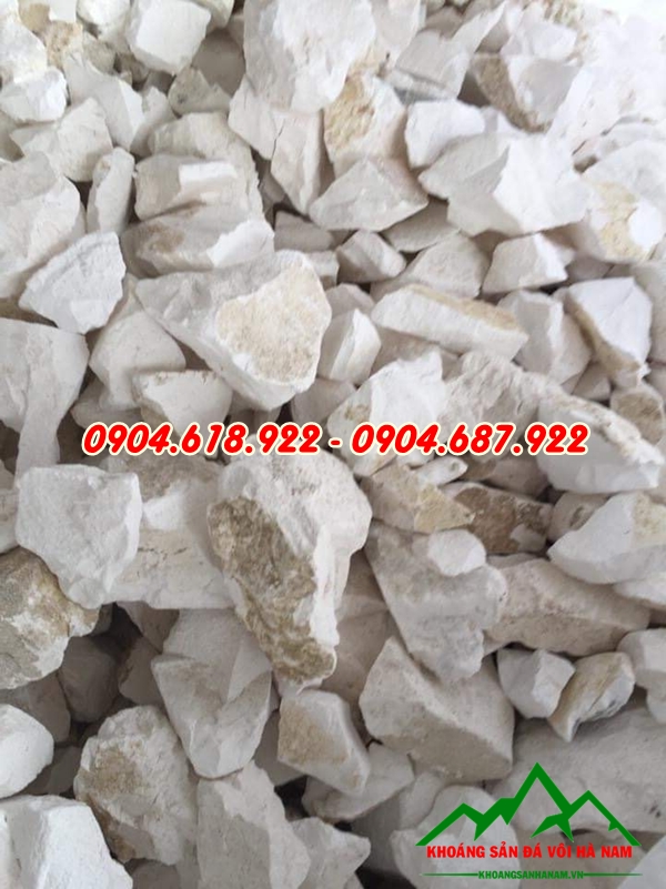 voi-khu-trung-dat-co-tac-dung-gi (2)