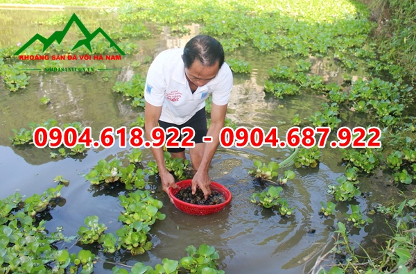 Dolomite-nuoi-oc (6)