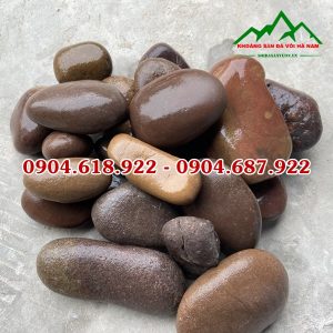 Soi-cuoi-mau-tu-nhien (6)