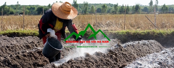 Voi-khu-trung-dat (4)