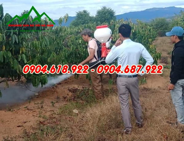 Voi-khu-trung-dat (5)