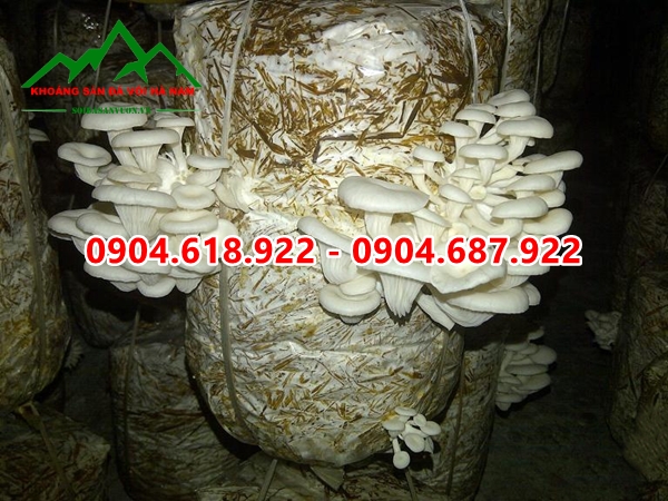 Bot-da-nhe-trong-nam (3)