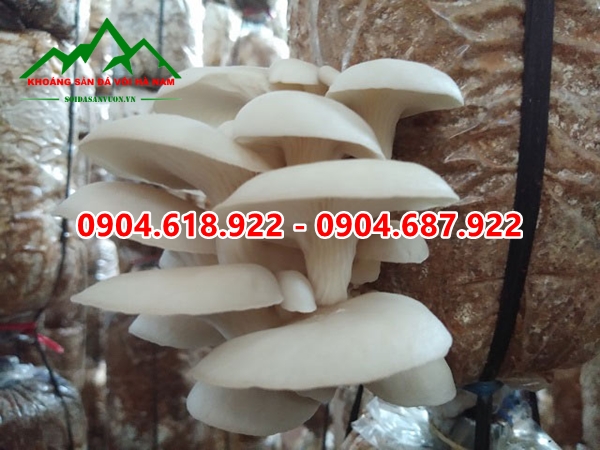 Bot-da-nhe-trong-nam (4)