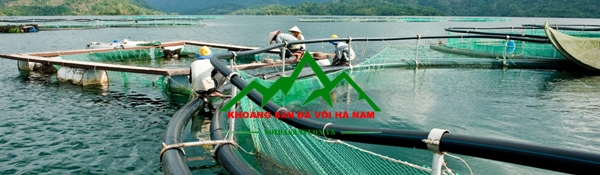 Cach-su-dung-voi-dolomite-thuy-san (2)