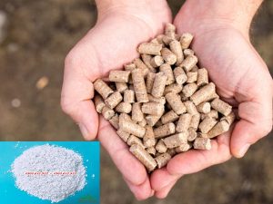 bột đá thức ăn chăn nuôi - DVHN