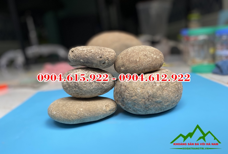 Sỏi đá decor quán cafe - KSDVHN123