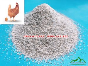 Đá hạt Canxi thức ăn chăn nuôi - DVHN