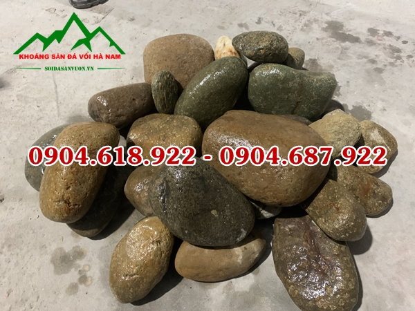 Soi-mau-tu-nhien (2)