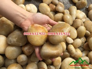 sỏi cuội tự nhiên màu vàng