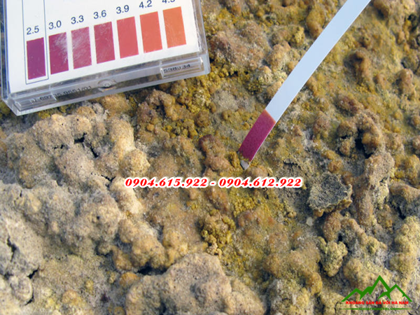 vôi giảm độ chua đất - DVHN2