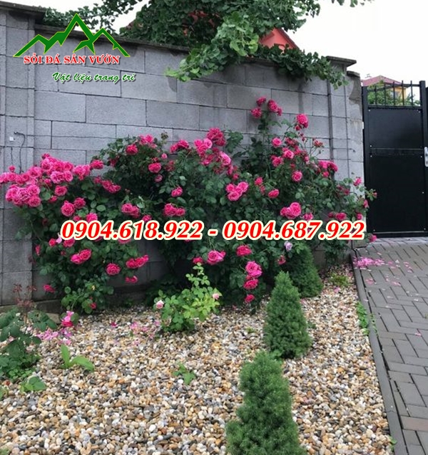 cung-cap-soi-trang-tri-tai-vinhomes-hung-yen (14)