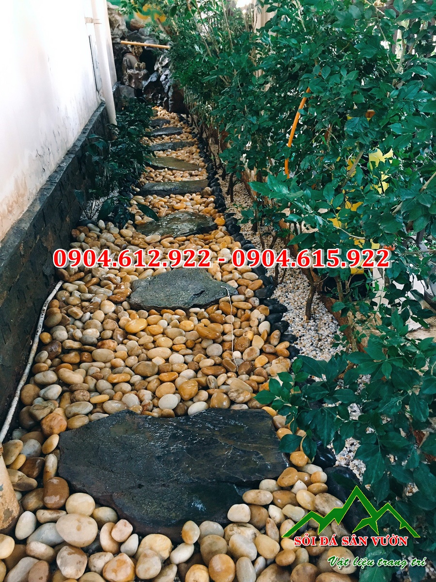 sỏi vàng tự nhiên rải lối đi sân vườn