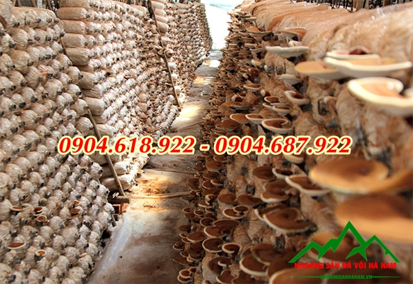 Vai-tro-cua-bot-da-nhe-trong-trong-nam (1)