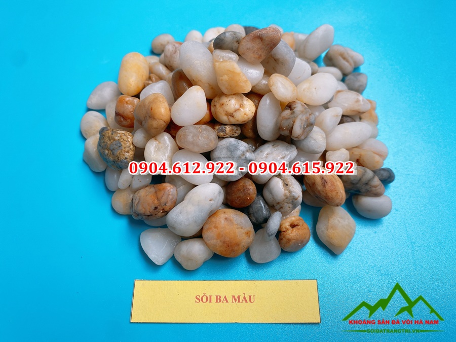 sỏi biển tự nhiên lọc nước