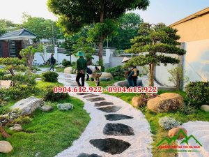 mua sỏi trang trí ở đâu