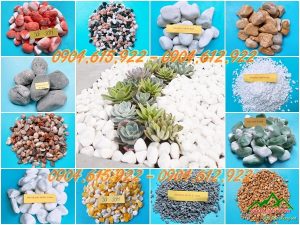 tong-kho-soi-quay-nhan-tao-gia-si-mien-bac15