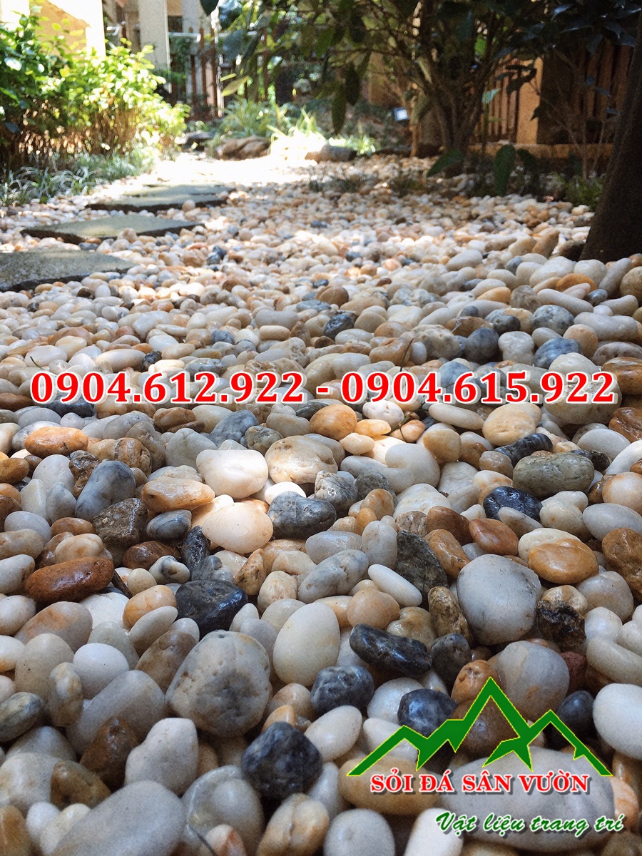 sỏi biển tự nhiên rải lối đi