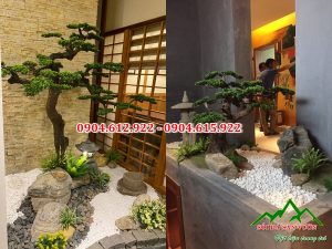 ứng dụng của sỏi trang trí chậu cây cảnh