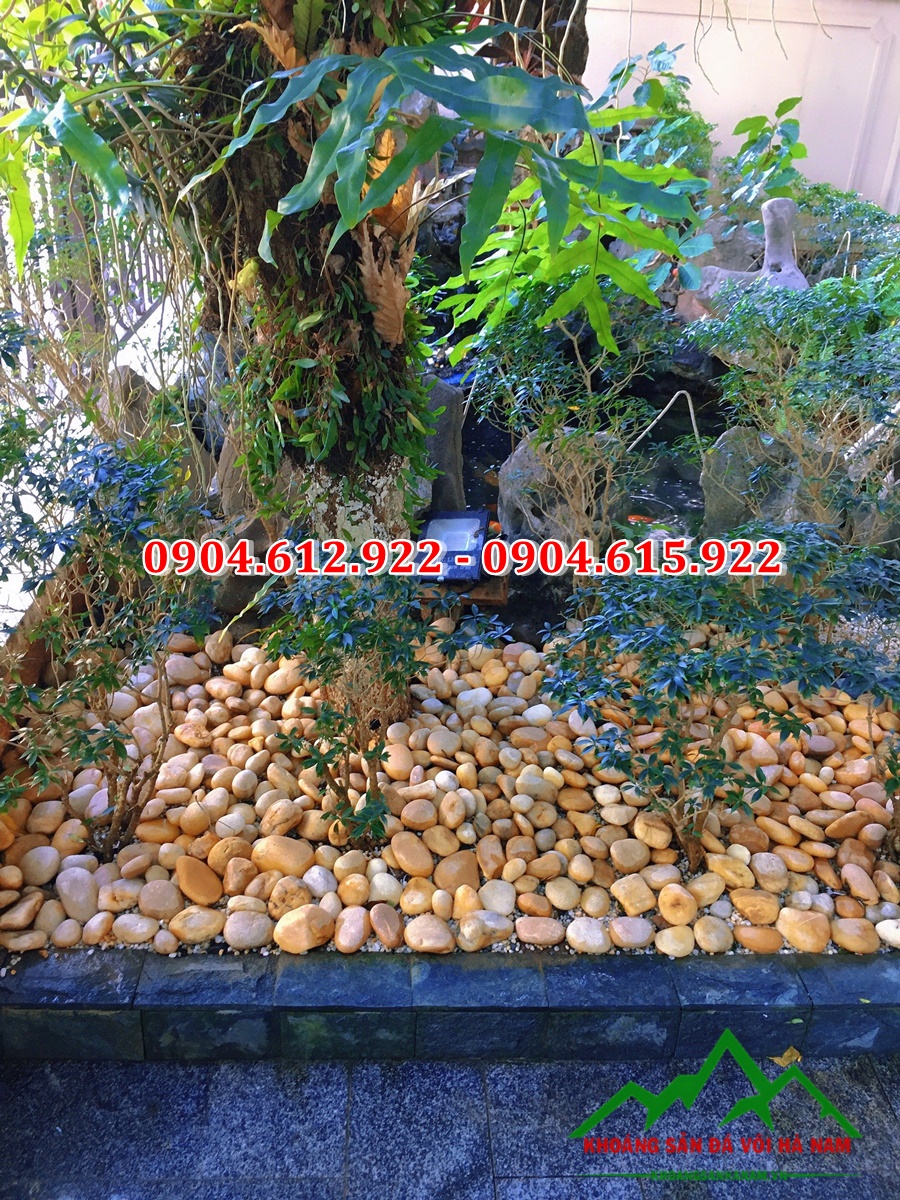 sỏi vàng tự nhiên rải chậu cây cảnh