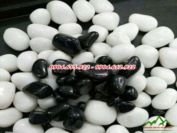 soi-trang-tri-tieu-canh-tai-ha-noi2