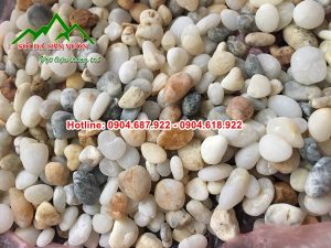 Kho sỏi trang trí tại Hà Nội