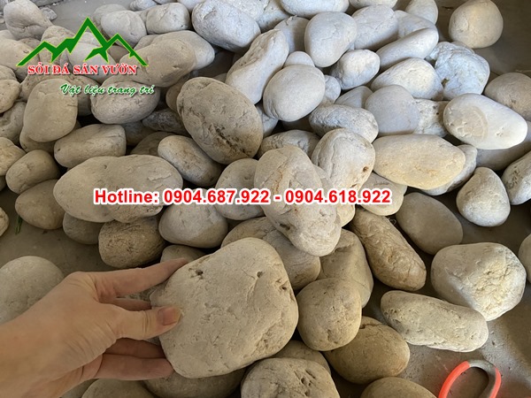 sỏi cuội trắng tại hà nội