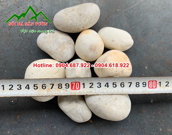 bán sỏi suối trắng