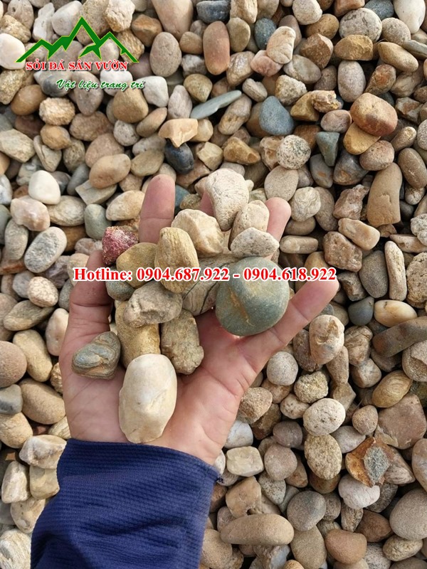 sỏi trang trí