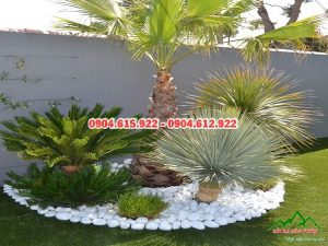 soi-trang-trang-tri-gia-re