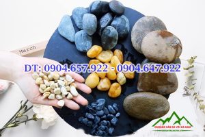 Tổng khoi sỏi Hà nội