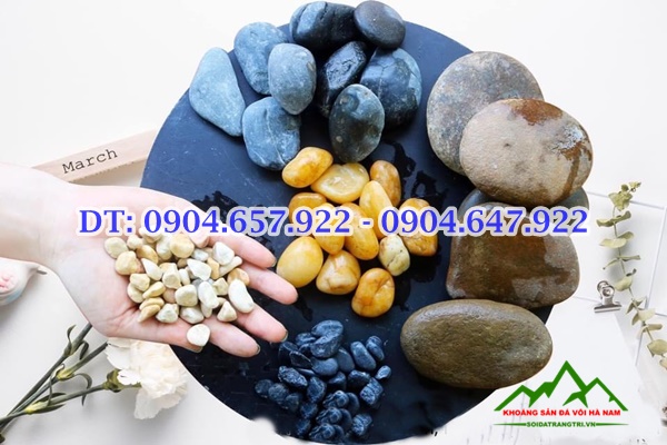 Tổng khoi sỏi Hà nội