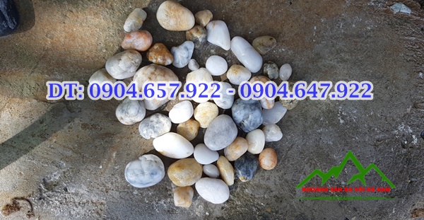 bán-sỏi-biển-hà nội
