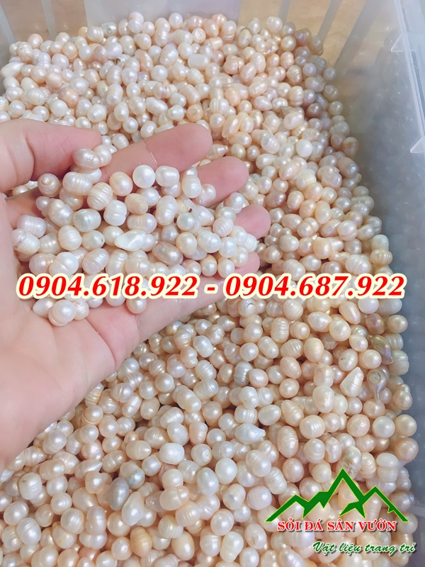 ngoc-trai-tho-va-nhung-cong-dung-ma-ban-chua-biet (2)