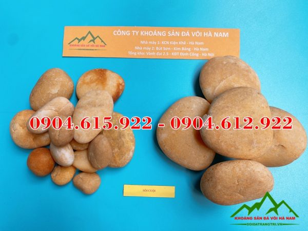 soi-vang-tu-nhien-trang-tri-gia-re