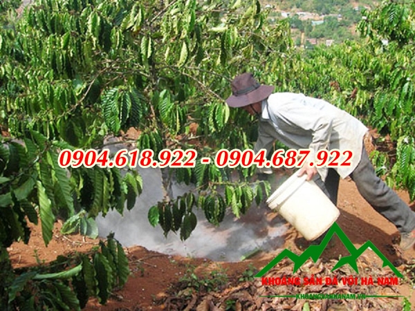 ban-voi-dolomite-trong-nong-nghiep-gia-tai-xuong (5)