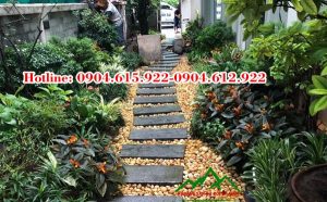 da-lat-buoc-dao-san-vuon